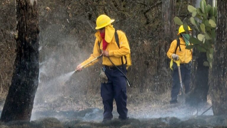 Suman 153 hectáreas afectadas por 31 incendios forestales