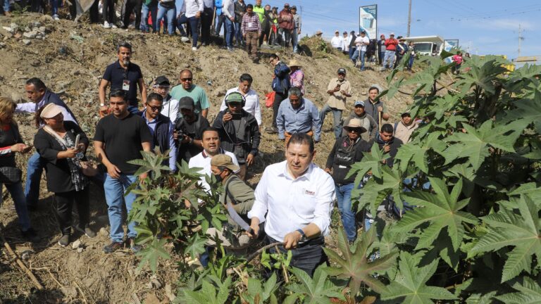 En colaboración