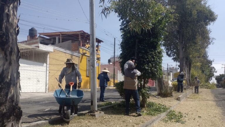 Realiza Gobierno de la Ciudad labores de mantenimiento y limpieza en colonias de la ciudad