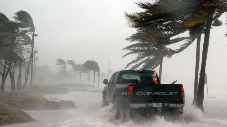 Aseguradoras pagaron 522 mil mdp en siniestros durante 2024