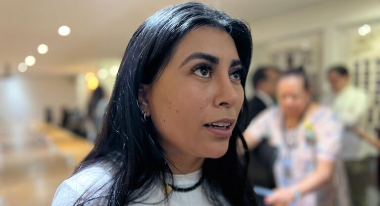 Silvia Tanus pondrá orden en el transporte, “no le temblará la mano”