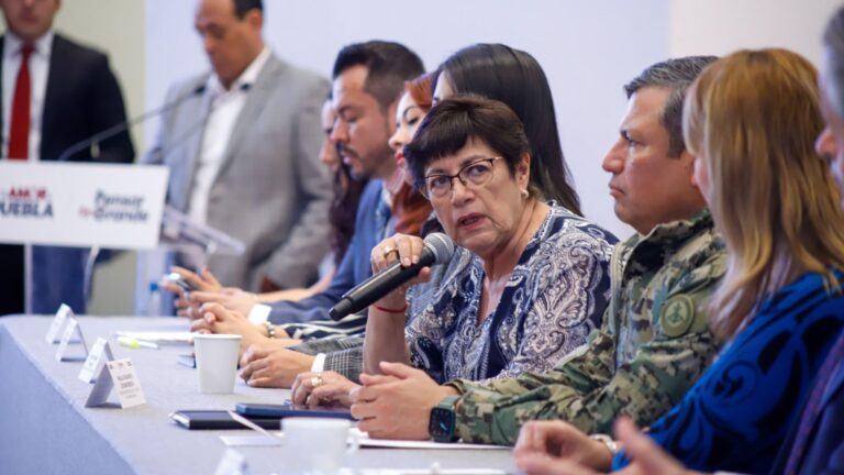 Concesionarios se interesan por adquirir créditos para modernizar sus unidades