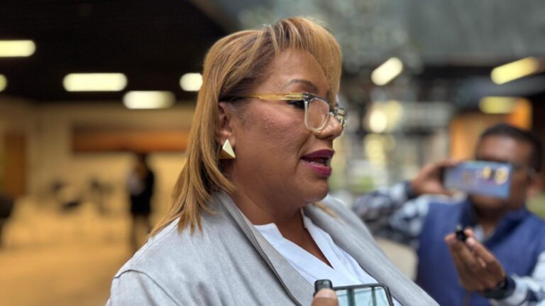 Gaby Chumacero firme en el Congreso, IEE ratifica su posición