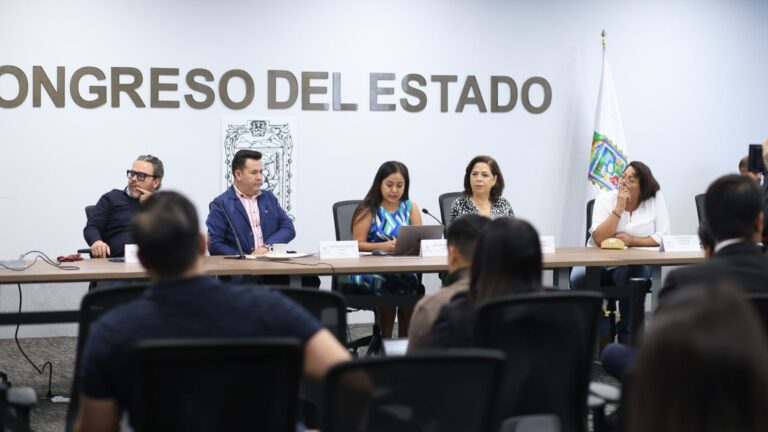 Comisión del Congreso presenta resultados de la encuesta digital dirigida a las ONG