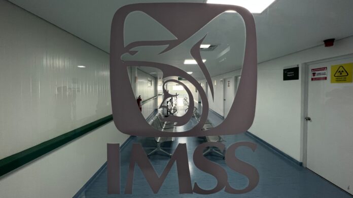 Salud e IMSS-Bienestar garantizan realización de trasplantes renales