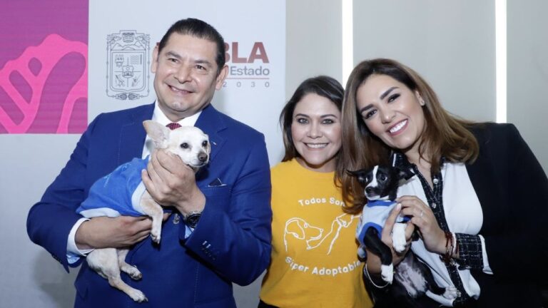 Bienestar Animal y municipios trabajan para proteger a seres sintientes