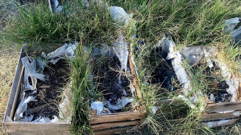 Gobierno de la Ciudad Implementa Estrategia Integral en el Bachillerato General Oficial Los Héroes Puebla