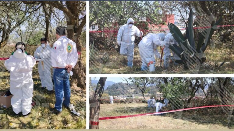 Realiza la FGE exhumación de un animal en Zacatlán ante presunto caso de crueldad