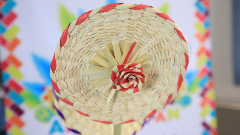 Presenta Santa Inés Ahuatempan Feria Patronal 2025