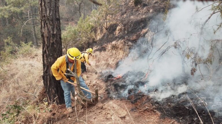 Continúa gobierno estatal trabajos de combate de incendios forestales