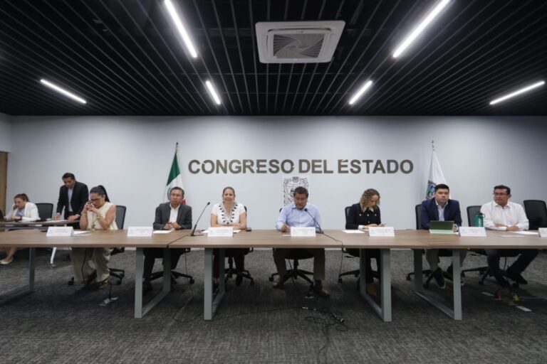 Nombra Congreso Concejo Municipal en Ciudad Serdán