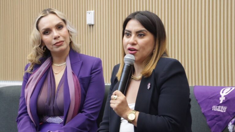 Diputados deben dejar “el populismo legislativo” y enfocarse en el fortalecimiento de las leyes para proteger a las mujeres