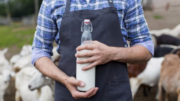 Día Mundial de la Leche México figura entre los 10 principales países de producción lechera