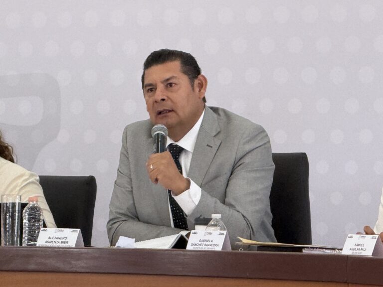 Encalar árboles no los daña; erróneamente legislación afirma que sí: Armenta