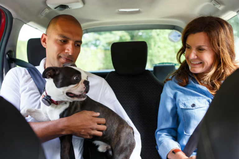 Puebla, bienvenidos tus lomitos y michis a Uber