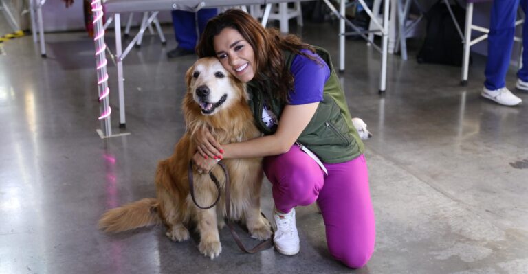 Gobierno federal y estatal impulsarán campaña de protección de animales