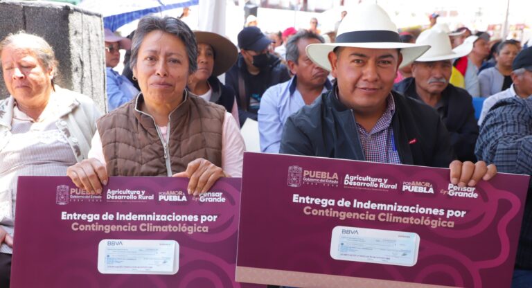 Gobierno de Puebla rescata economía de productores ante heladas atípicas en Chiautzingo