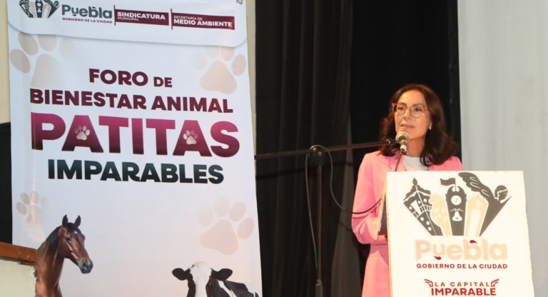 Por el bienestar animal el Gobierno de la Ciudad realizó el foro participativo “Patitas Imparables”