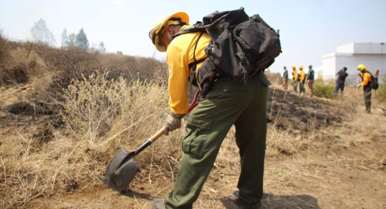 Capacita UCIPS a Policía y Guardia Forestal