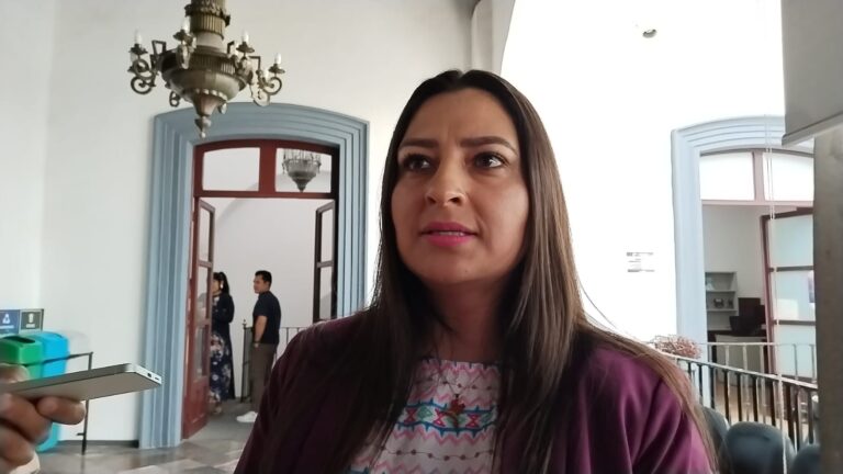 Regidores desechan propuesta para diginifar el trabajo de las sexoservidoras