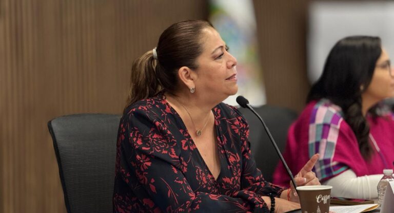 Congreso realizará reuniones con sectores sociales para abordar la Ley de Ciberseguridad 