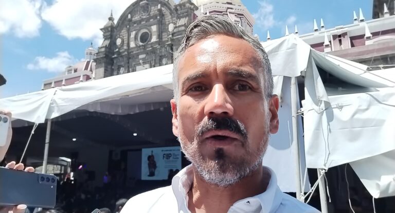 Más de 80 palmeras fuero retiradas por estar enfermas