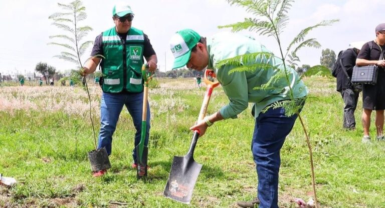 Partido Verde inicia Campaña de Reforestación 2025