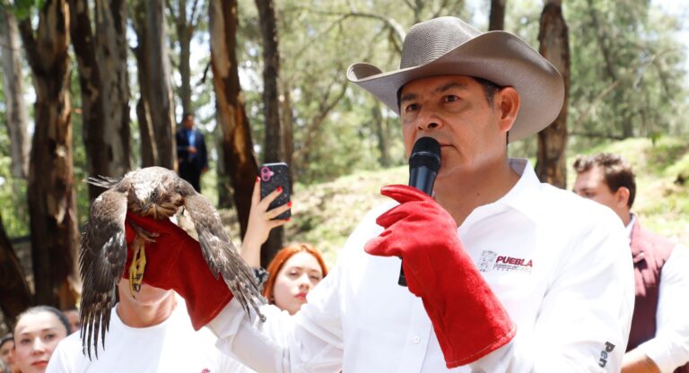 “Sueño con ver a Puebla como una zona verde y sin corrupción”: Alejandro Armenta