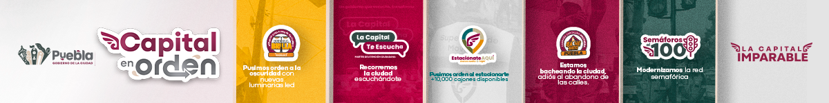 spot_img