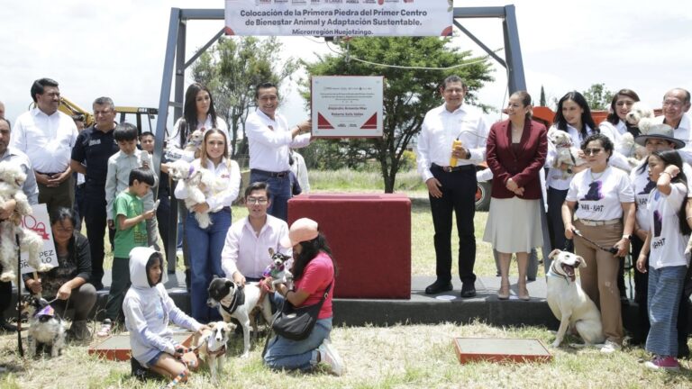 Seguridad para el bienestar animal