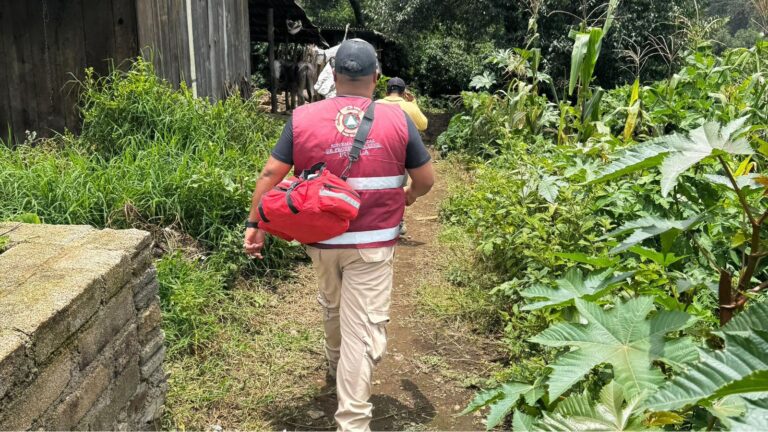 Deslizamiento de tierra en Chiconcuautla deja una persona fallecida