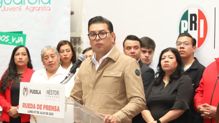 El PRI, la única oposición real que queda en México: Néstor Camarillo 