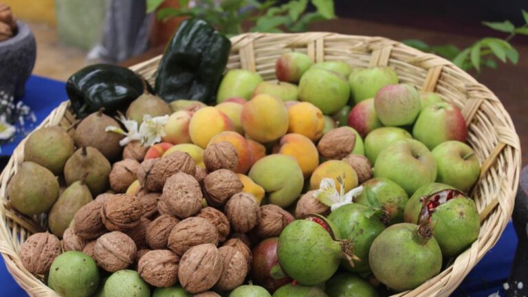 SADR y CANIRAC promueven el consumo local de ingredientes para el Chile en Nogada