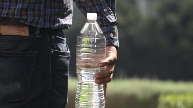 IMSS emite recomendaciones preventivas de salud para próximo periodo vacacional