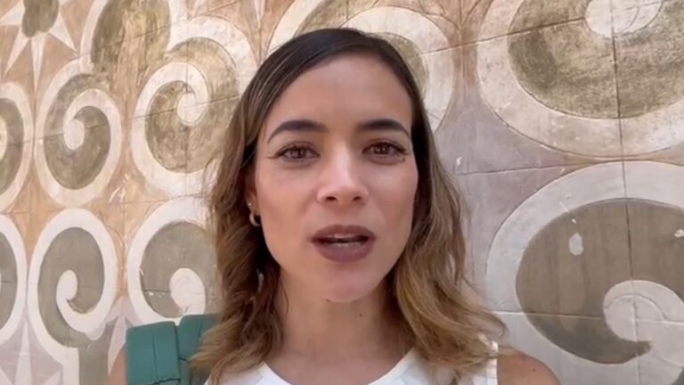 Jornada de reforestación este domingo en Cholula