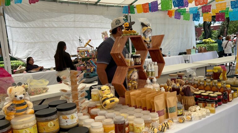 Plaza de la Concordia recibe Expo Mujeres Indígenas