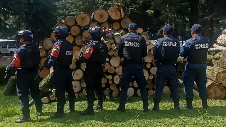 Recuperan Policía Estatal Forestal de Puebla y Tlaxcala tres metros cúbicos de madera