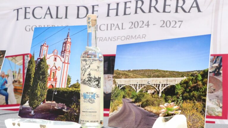 Tecali de Herrera realizará feria patronal en honor a Santiago Apóstol