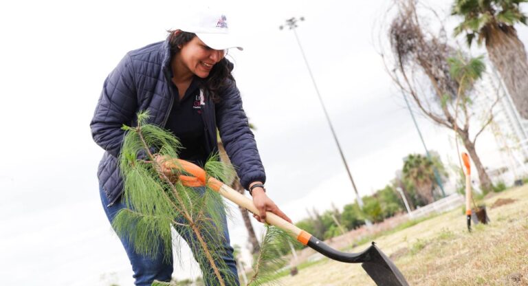 Continúa reforestación en San Andrés Cholula con más de 1,800 árboles sembrados