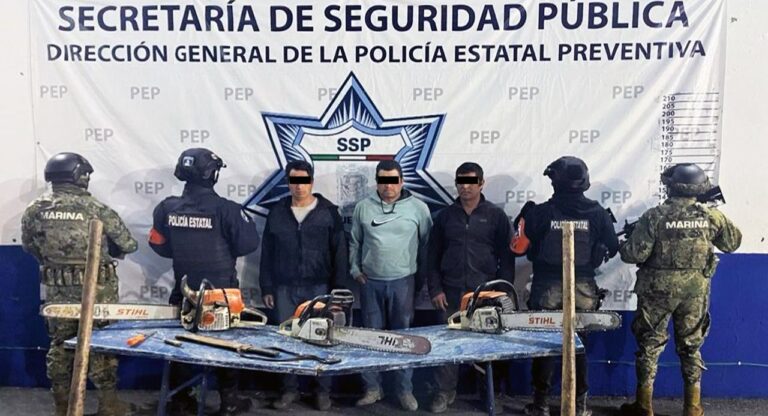 Detienen SSP y SEMAR a tres hombres por tala ilegal de árboles