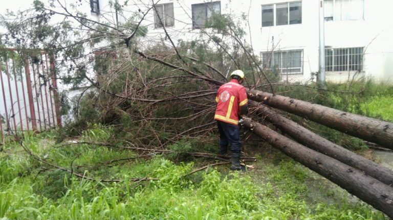 Brinda SSP atención a la población por daños causados por las lluvias
