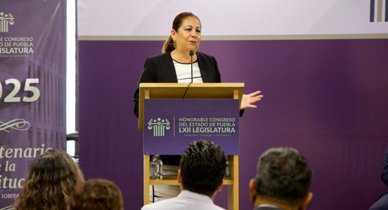 Congreso, comprometido con la participación ciudadana: Laura Artemisa 