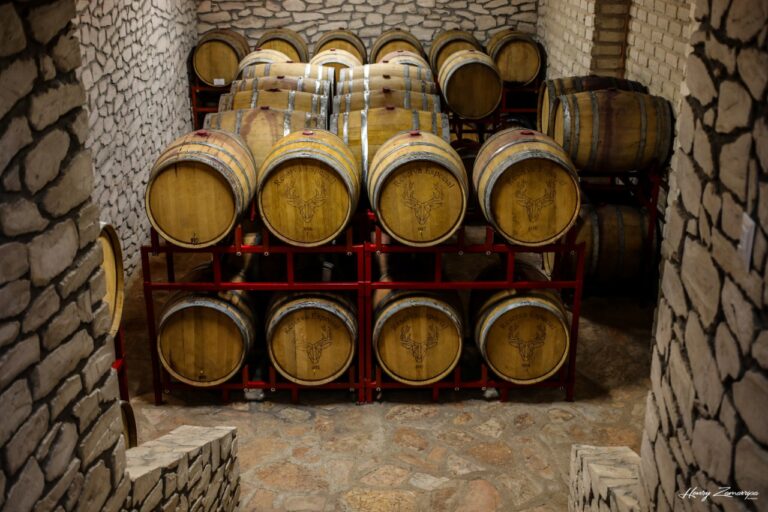 Arranca la Ruta de Vendimias 2025 con el banderazo oficial en La Malanca