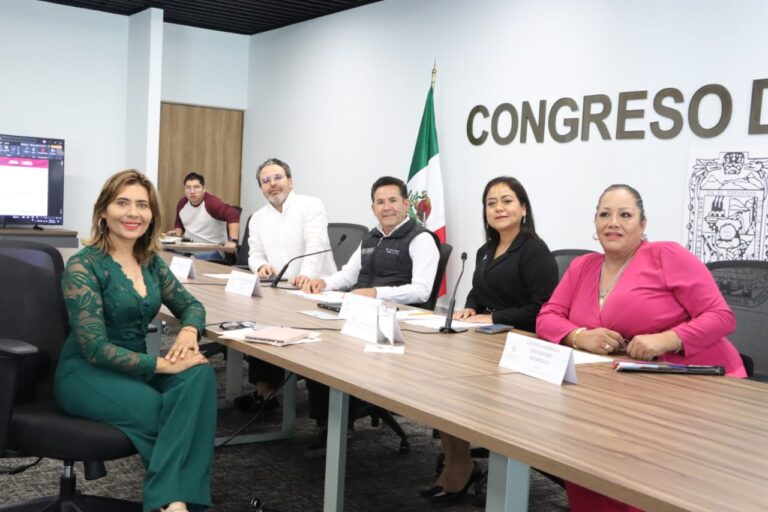 Analiza Comisión del Congreso acciones en materia de Organizaciones de la Sociedad Civil