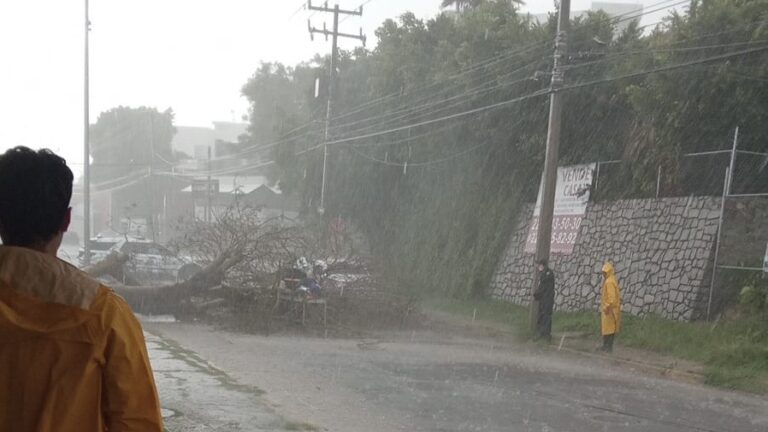 Lluvia de esta martes provoca caída de árboles, uno de ellos lesiona a mujer