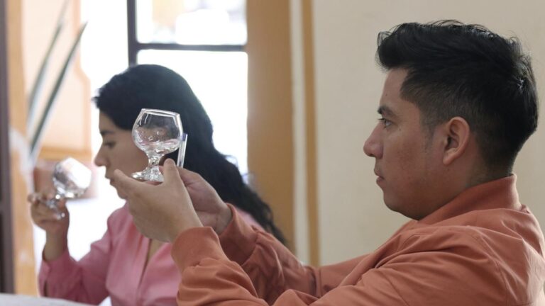 Concluye etapa de evaluación del concurso de Cata de Mezcal y Destilados de Agave “Premio al Origen 2025”