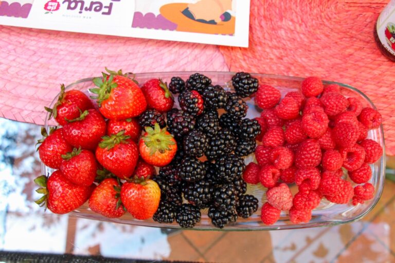 Todo listo para la Feria de las Berries en San Diego Buenavista