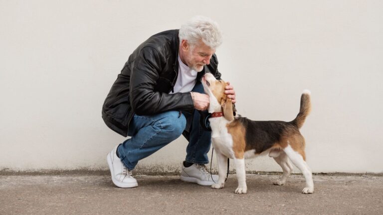 Día del Abuelo Más de 100 trillones de microorganismos podrían estar cuidando la salud de tu mascota senior