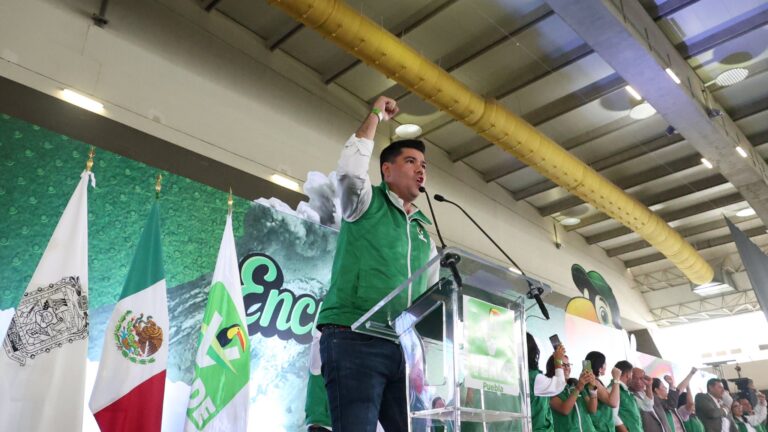 Divide y vencerás, el reto del PVEM para el 2027