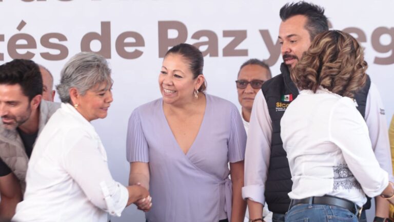 Organización social genera los mejores resultados: Laura Artemisa 